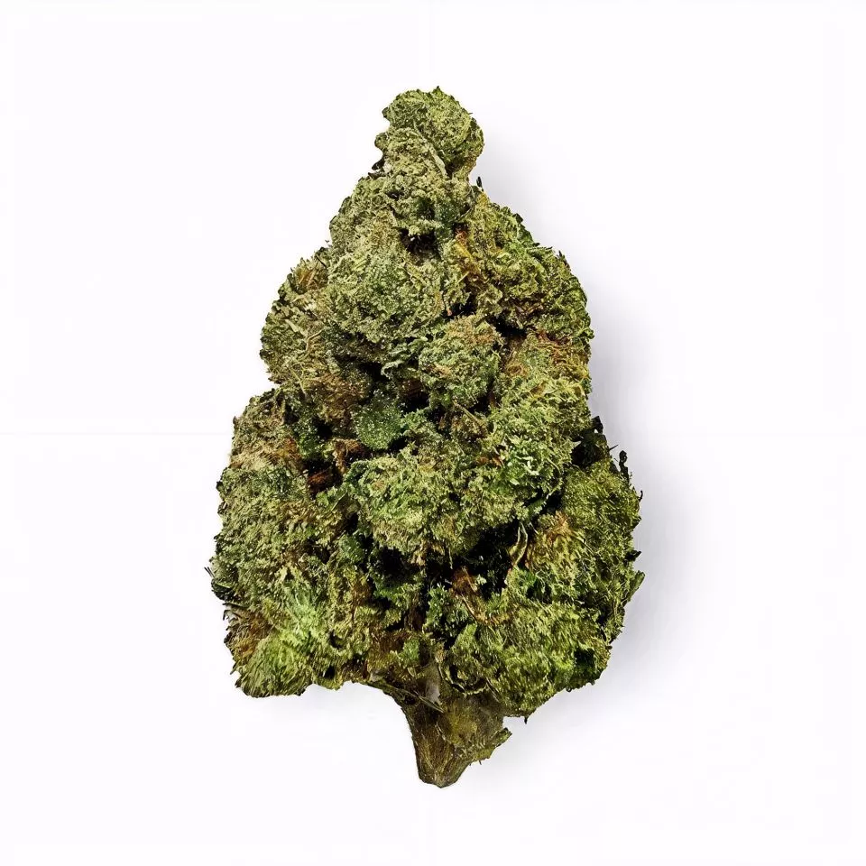 Area 41 Flower - THCA - Hybrid