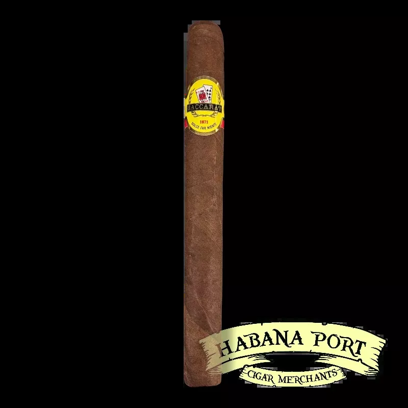Baccarat Churchill Maduro 7x48