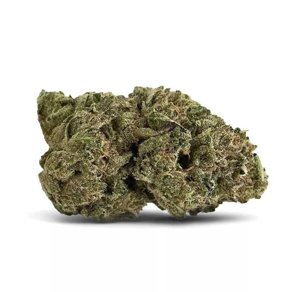 Beach Wedding Flower - Hybrid - THCA