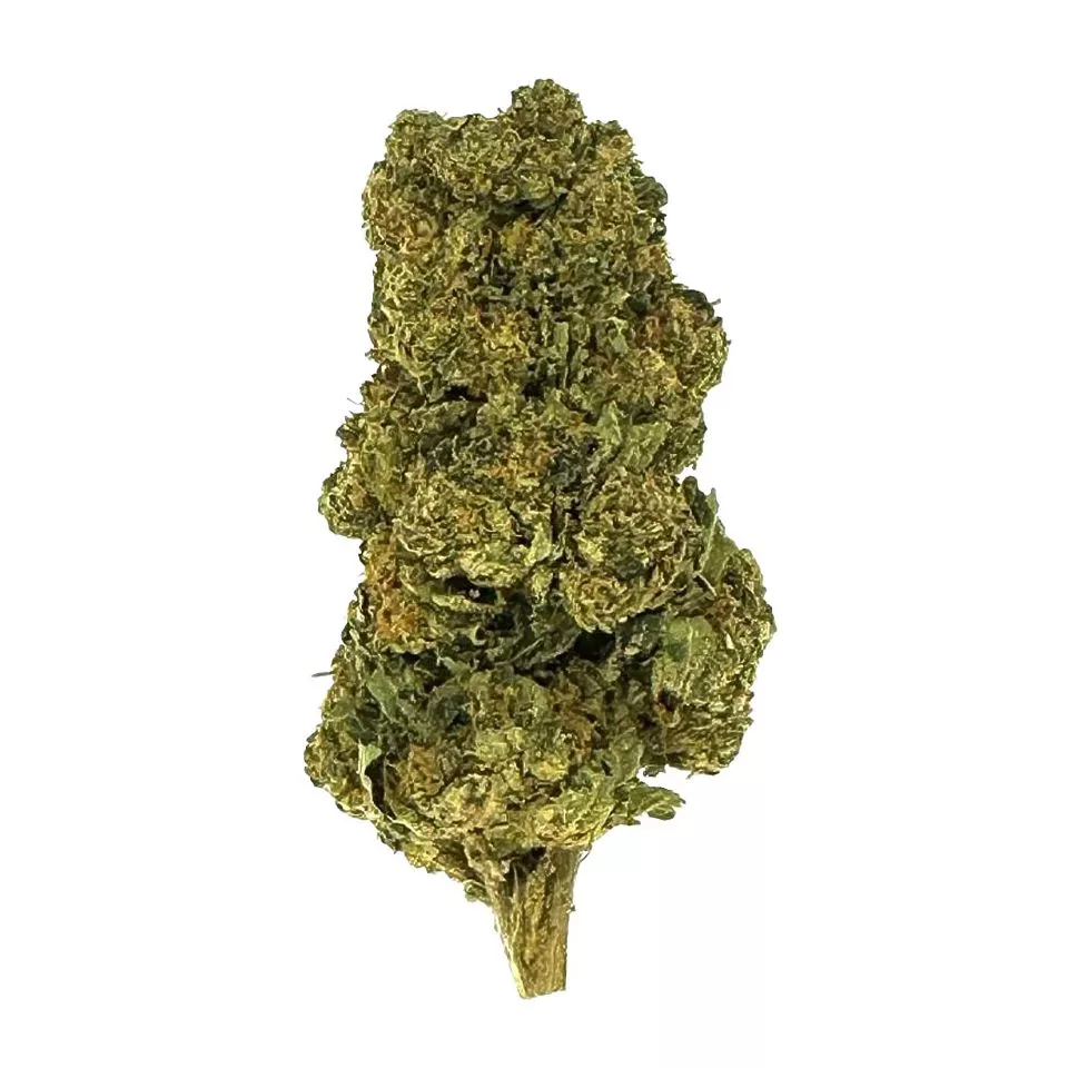 Black Cherry Gelato Flower - Indica - THCA