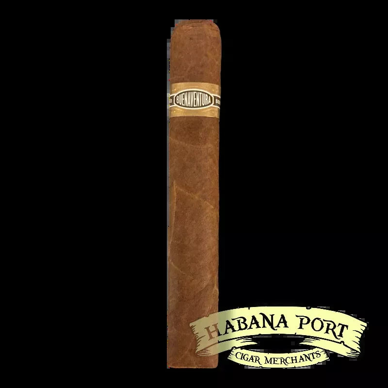 Buenaventura BV 500 5.25x50