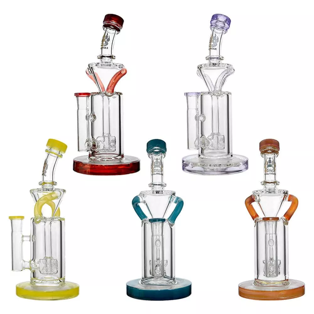 Calibear Vortex Turbo Incycler 8” Glass Bong with TRI-SEED Perc