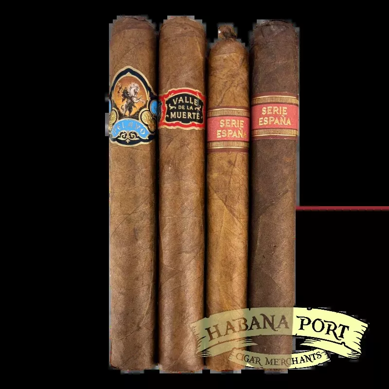 Casa Molina Variety Sampler Pack 4ct