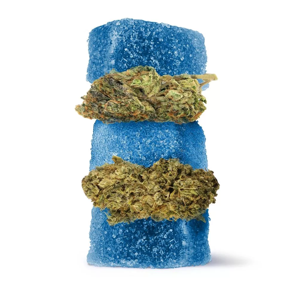 Delta 8 + Live Resin Gummies - 100mg - Durban Gelato - Hybrid