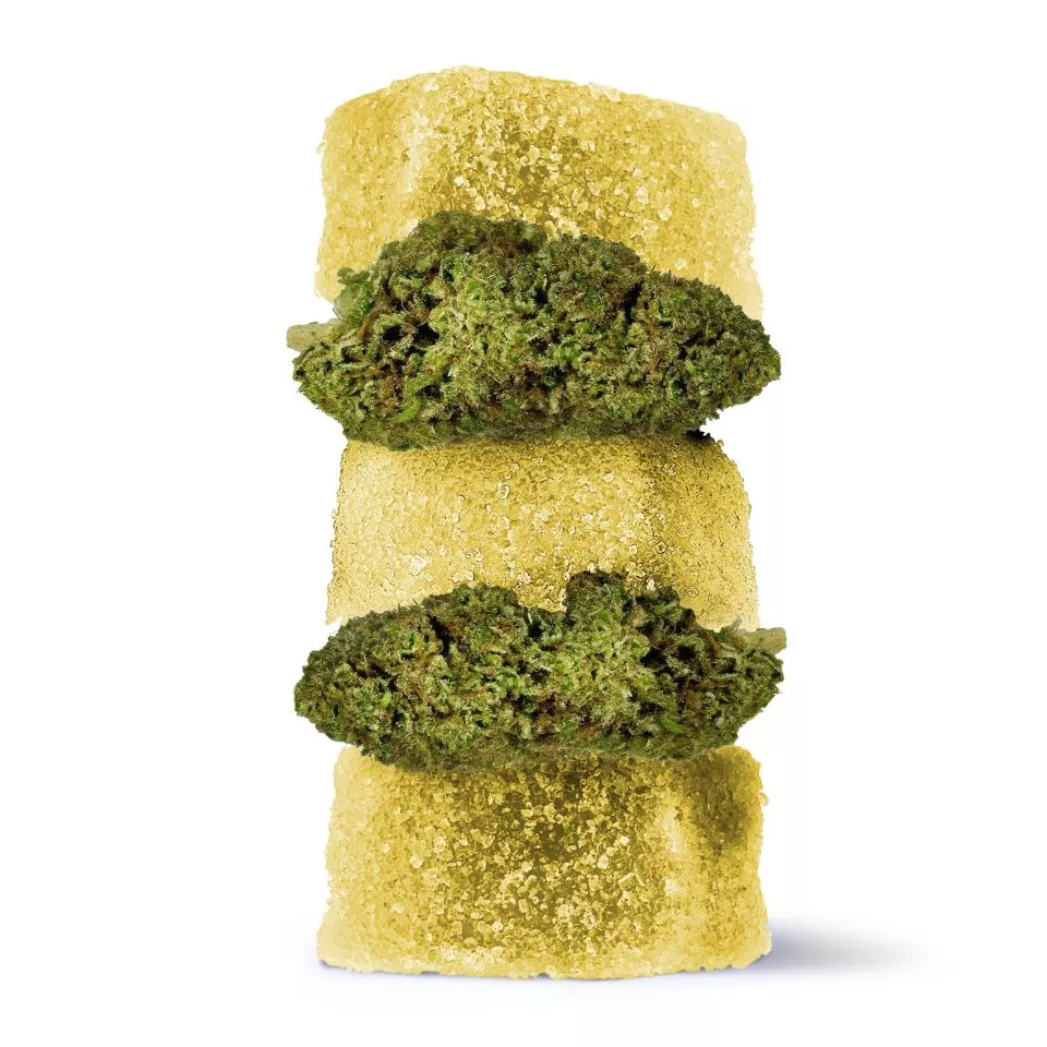 Delta 8 + Live Resin Gummies - 100mg - Rainbow Runtz - Indica