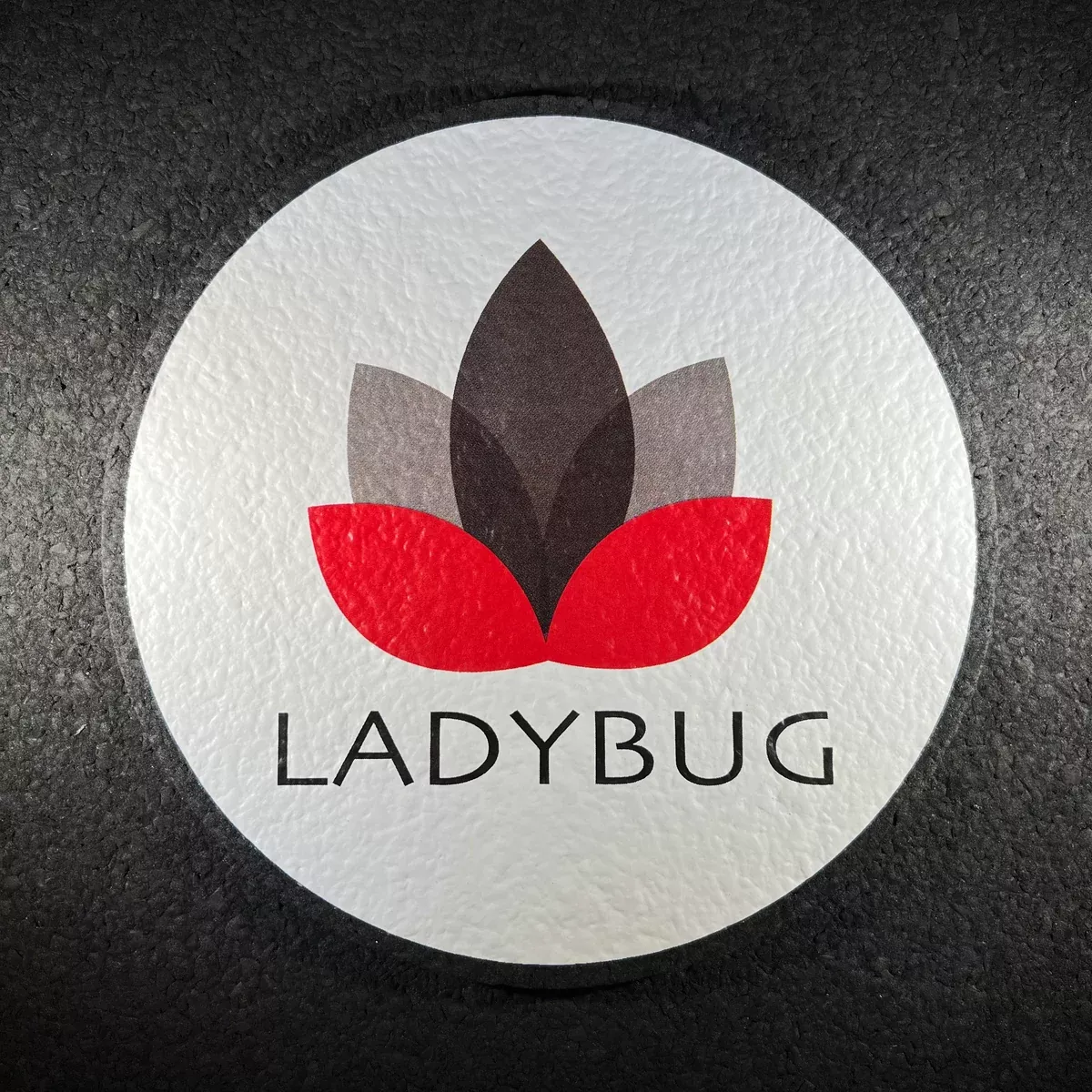 Dr. LadyBug - Moodmat