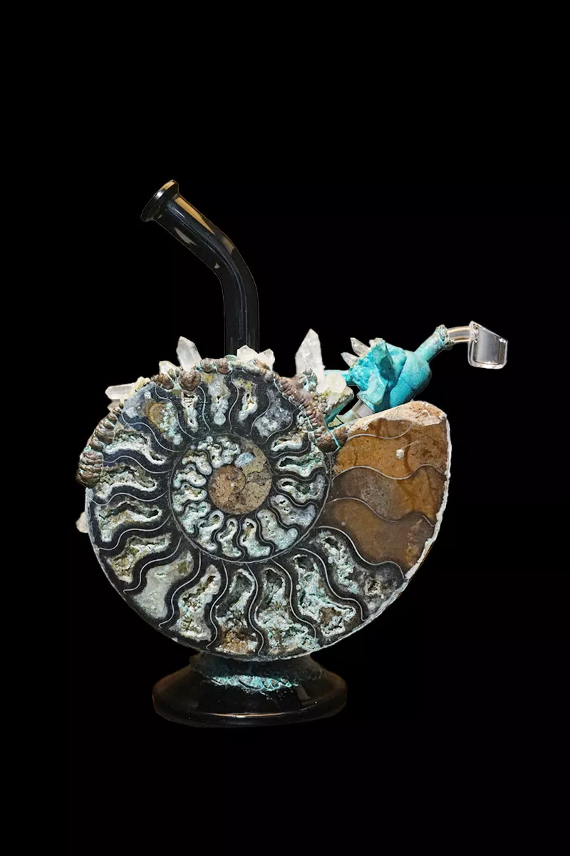 Envy Glass “Ammonite” Heady Dab Rig