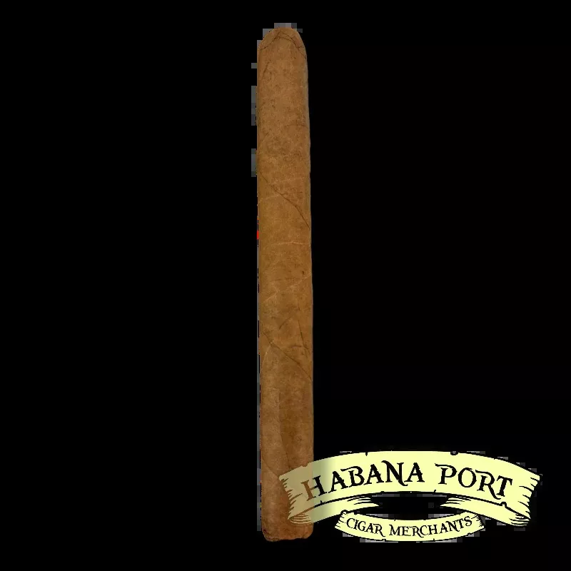 A Fuente Curly Head Natural 6.375x44