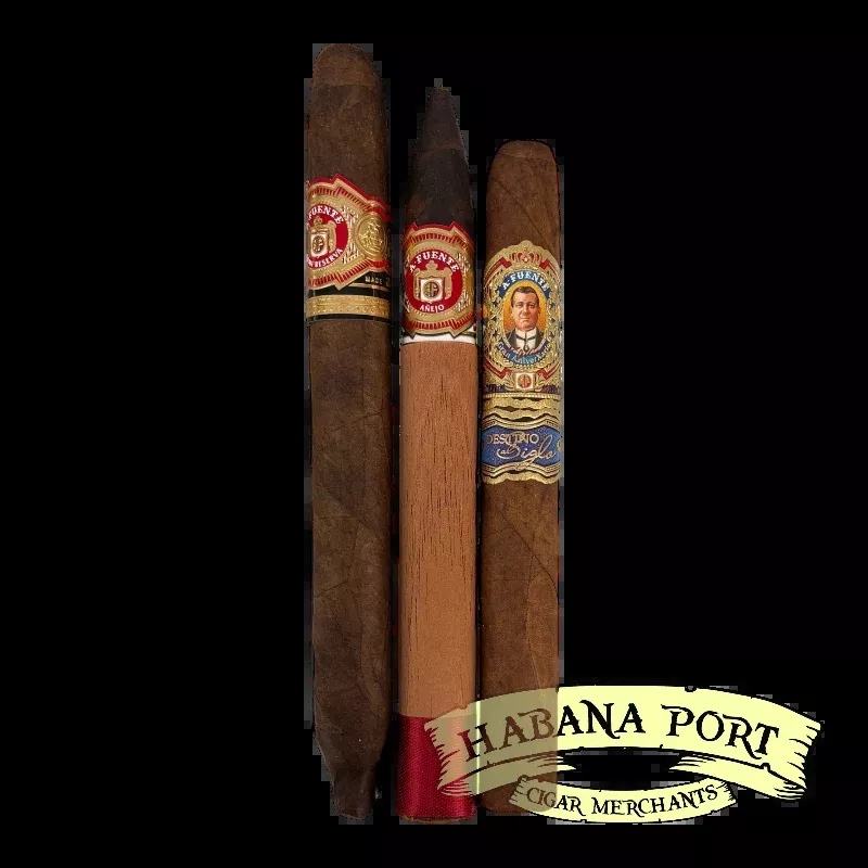 A Fuente Fuente Destino al Siglo Familia Sampler