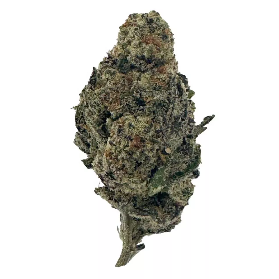 G Flower - Sativa - THCA