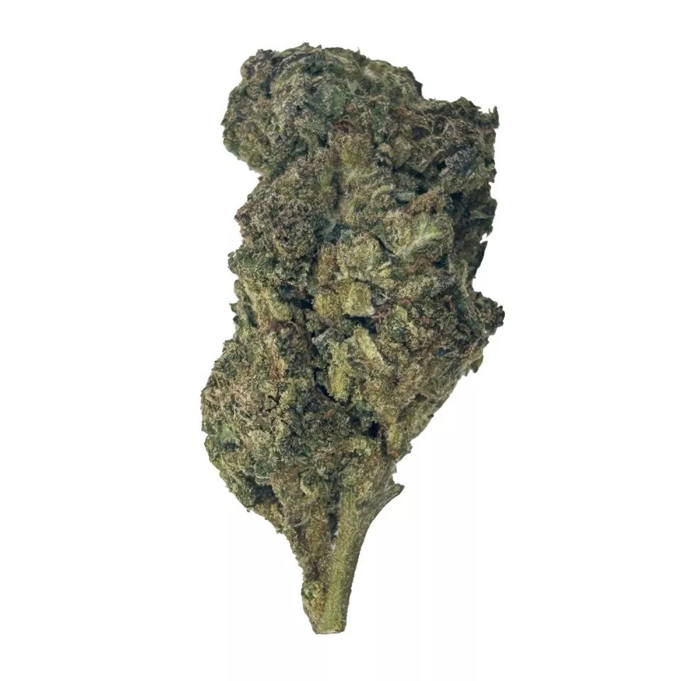 Gusher Cake Flower - Hybrid - THCA