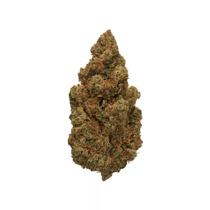 Jack Herer