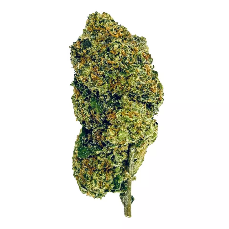 Melon Flower - Hybrid - THCA