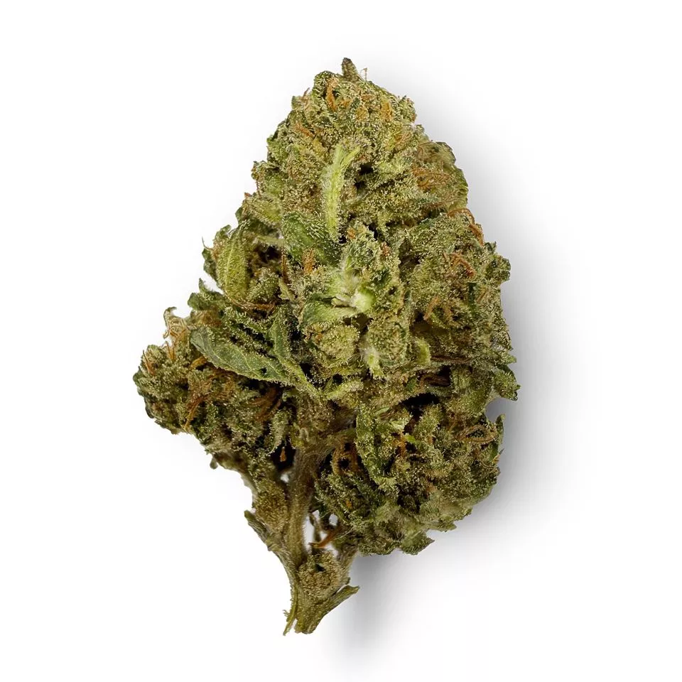 Red Congolese Flower - THCA - Sativa