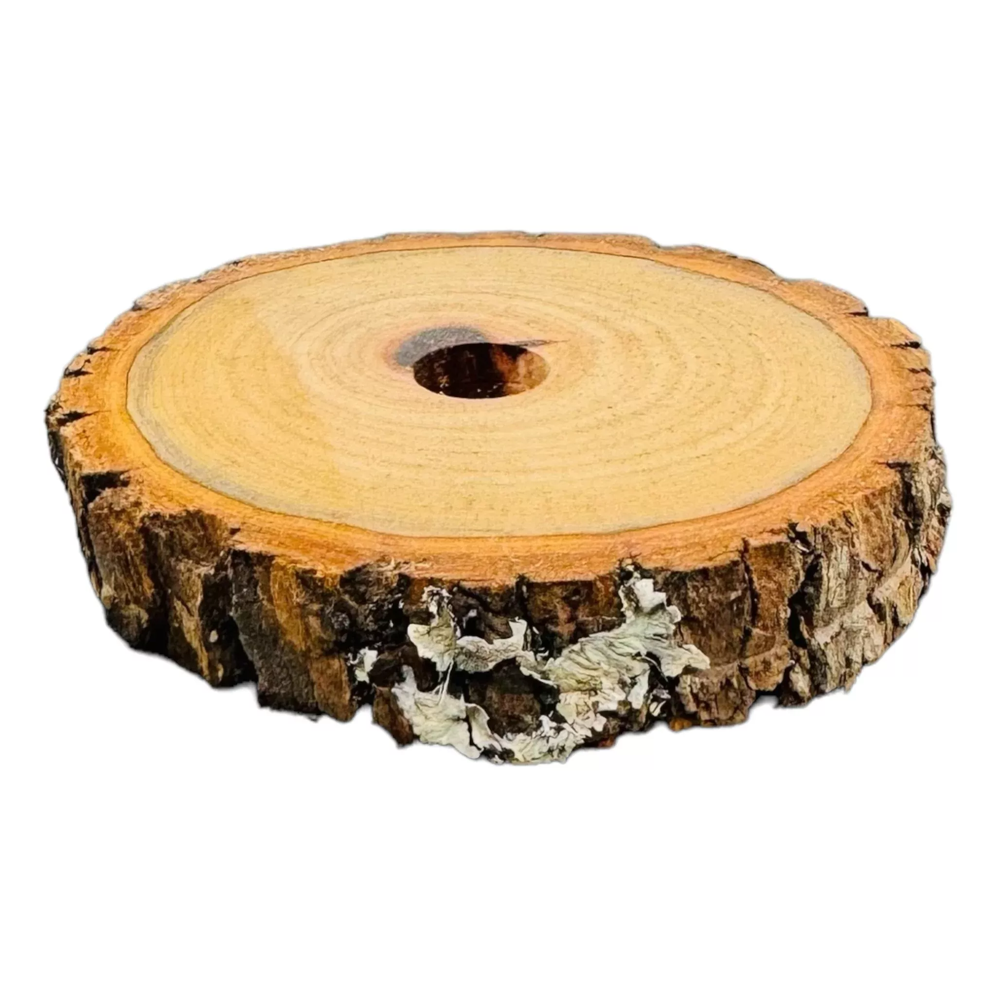 Single Hole Wood Display Stand Holder For 14mm Bong Bowl Pieces Or Quartz Bangers - Camphor Live Edge Log