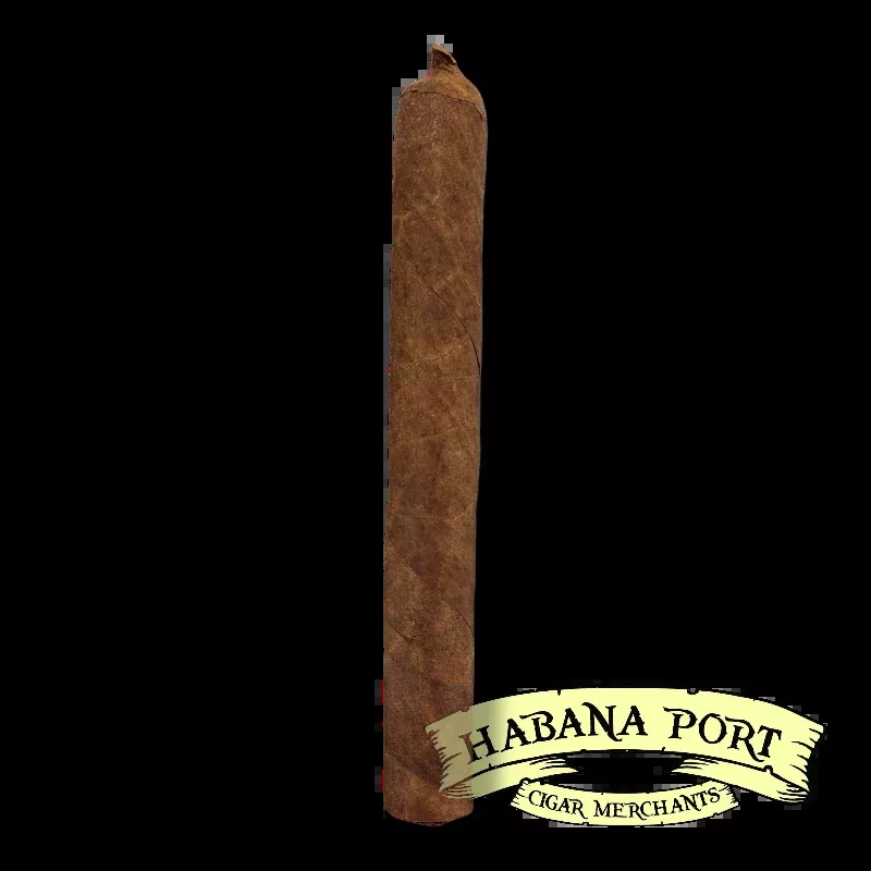 Tatuaje Miami P1 Corona Gorda 5.625x46