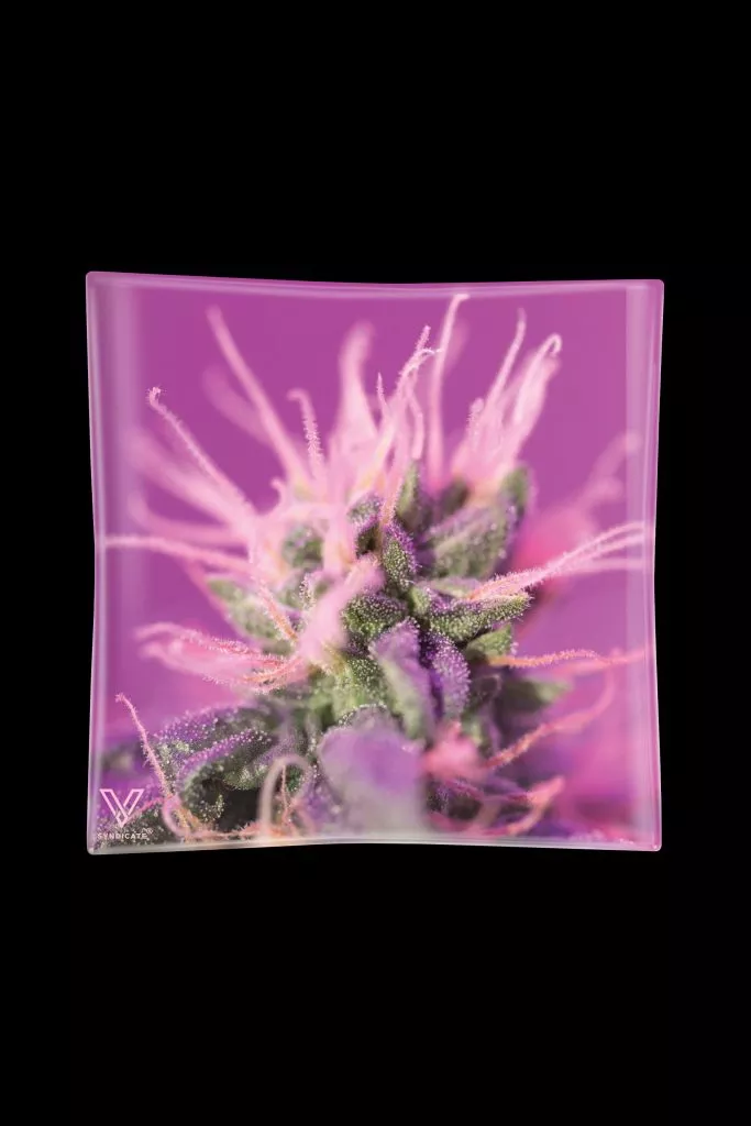 V Syndicate Blazin’ Glass Ashtray