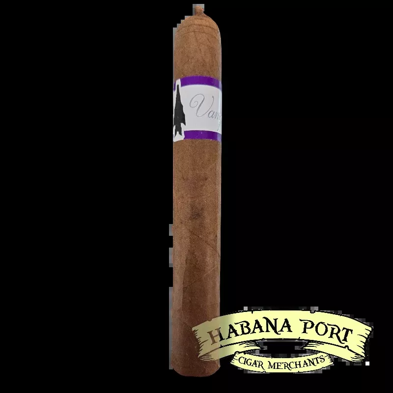 Viaje Vampire Dust Purple Eternal Night 6x52