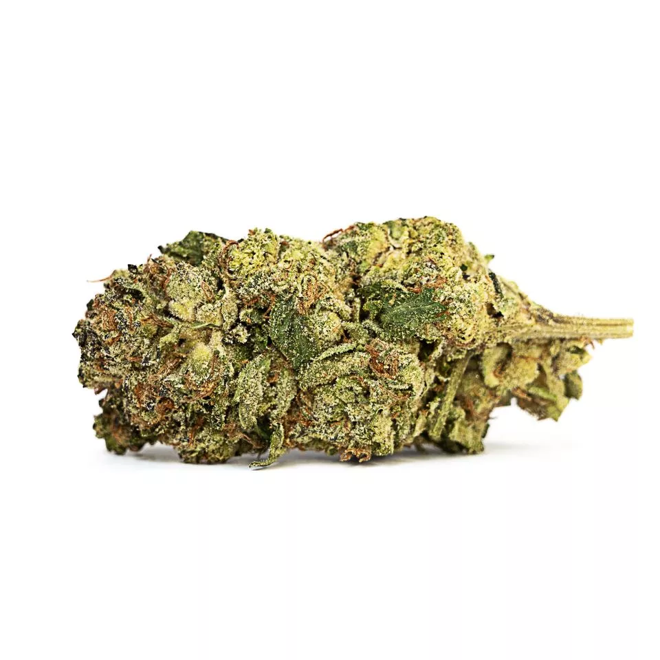 Walrus Kush Flower - Hybrid - THCA