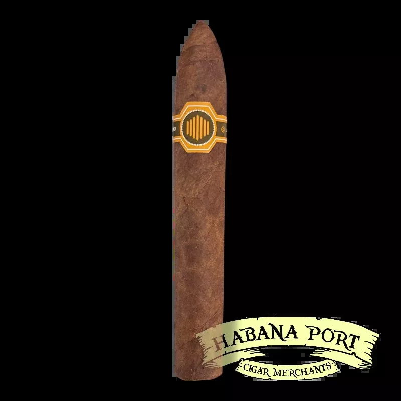 Warped La Colmena Black Honey 5x48