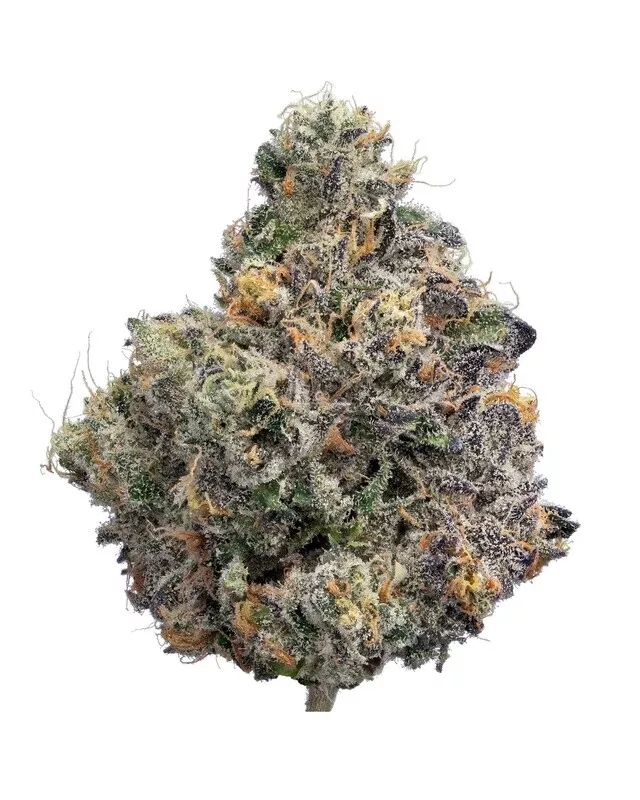 Zero Gravity - High THCa Flower [Indica Hybrid]
